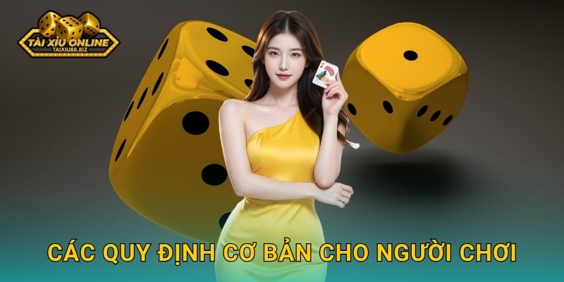 Các quy định cơ bản cho người chơi