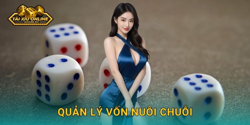 Quản lý vốn nuôi chuỗi