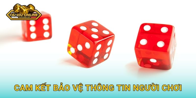 Cam kết bảo vệ thông tin người chơi