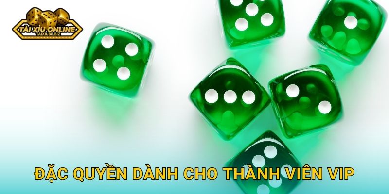 Đặc quyền dành cho thành viên VIP