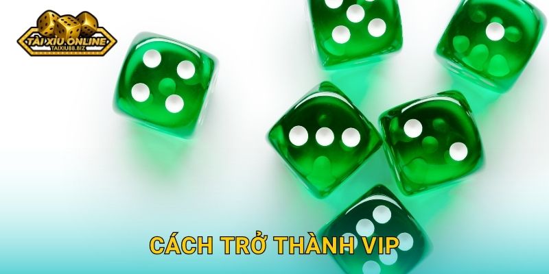 Cách trở thành VIP