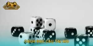 Hướng dẫn cách đọc cầu tài xỉu chuyên nghiệp tại Tài xỉu online