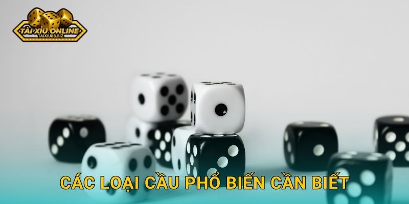 Các loại cầu phổ biến cần biết